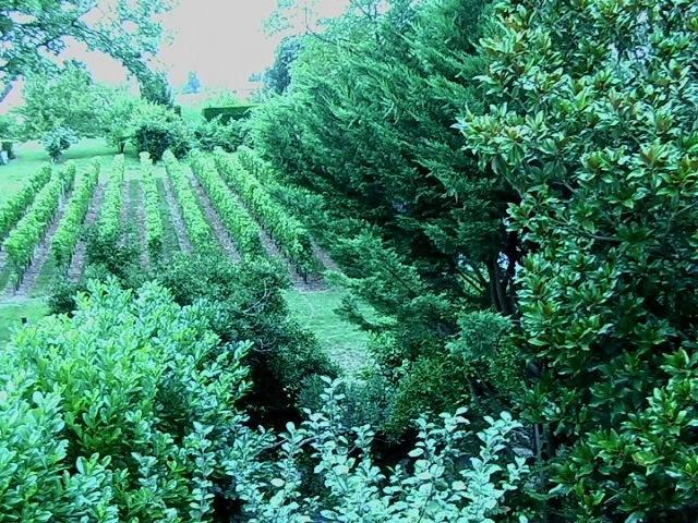 Les Id De Saint Emilion Bed and Breakfast Eksteriør billede
